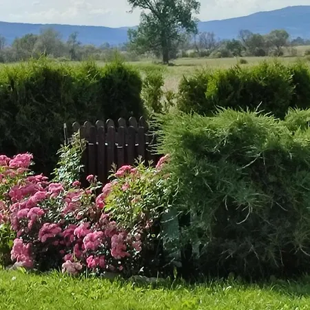 View Vendégház Belcsin