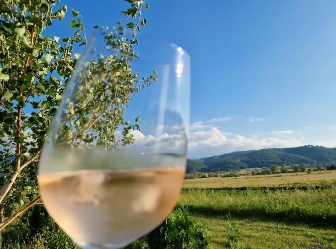 Къща за гости белчинска гледка