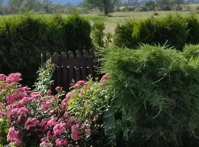 белчинска гледка Къща за гости Белчин